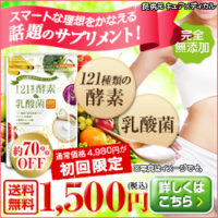 121種類の酵素と乳酸菌1