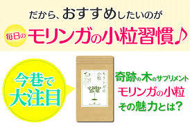 モリンガの小粒