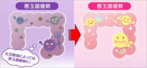 快腸サポート