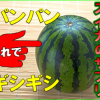 スイカプラス