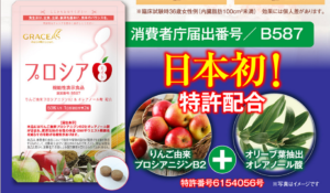 プロシア8