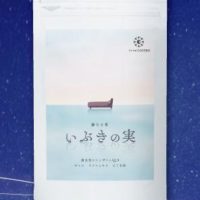 いぶきの実