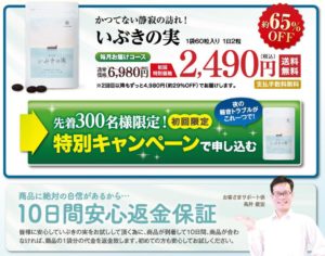 いぶきの実