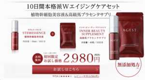 エイジスト